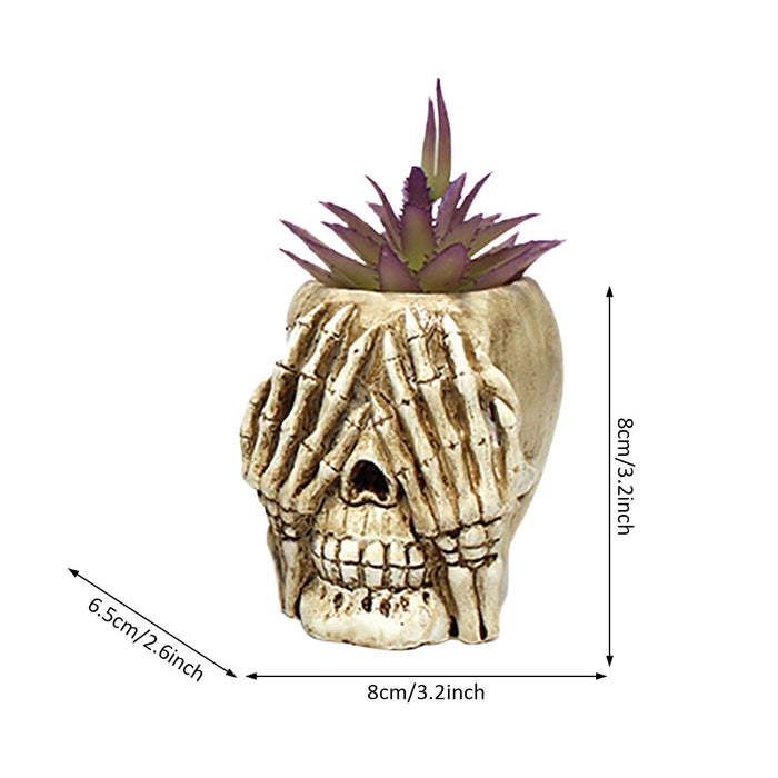 3Pcs Skull Head Planter Pot