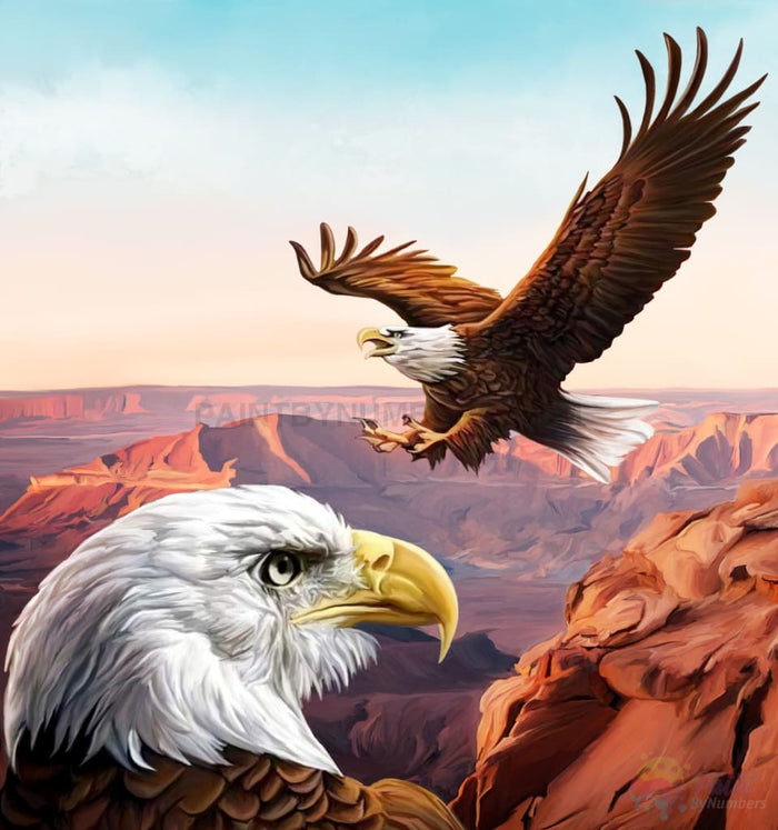 America The Beautiful Bald Eagle Paint By Numbers Kit For Adults