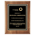 American Walnut Plaque with Textured Plate - PWW58