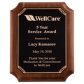 American Walnut Plaque with Gold Border Black LaserFX Plate