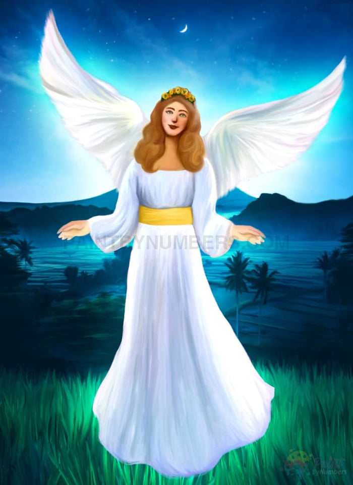 Angel In White Paint By Numbers Kit For Adults