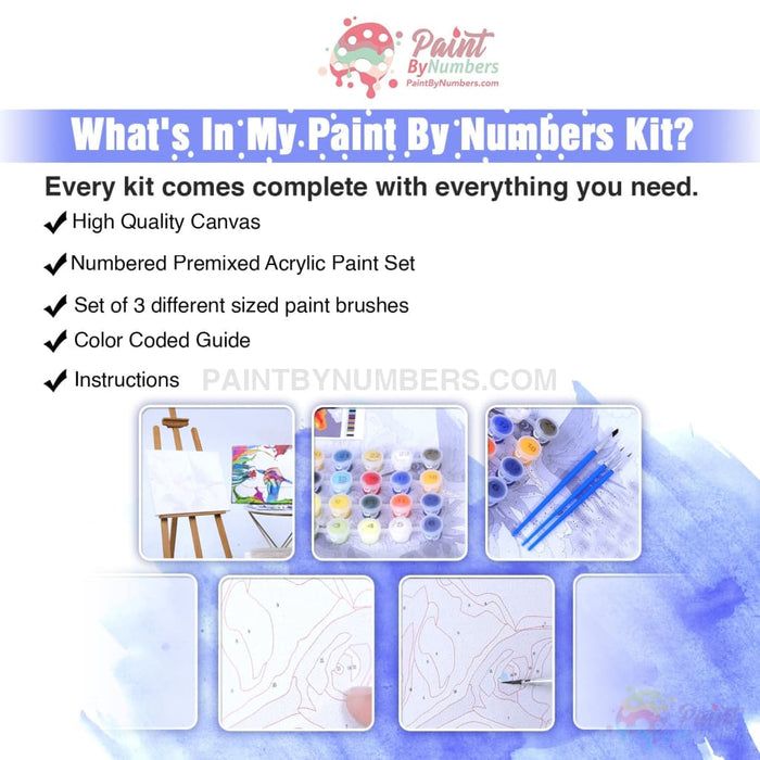 Angel In White Paint By Numbers Kit For Adults