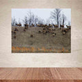 24 inch Elk Herd Poster Installed on Wall