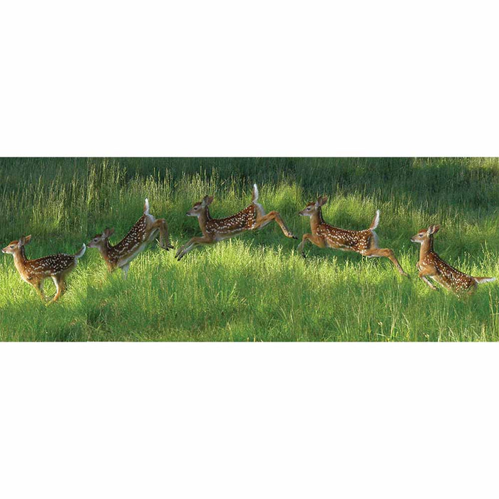 Poconos Fawn Jumping Panoramic Wall Decal Printed | Wallhogs