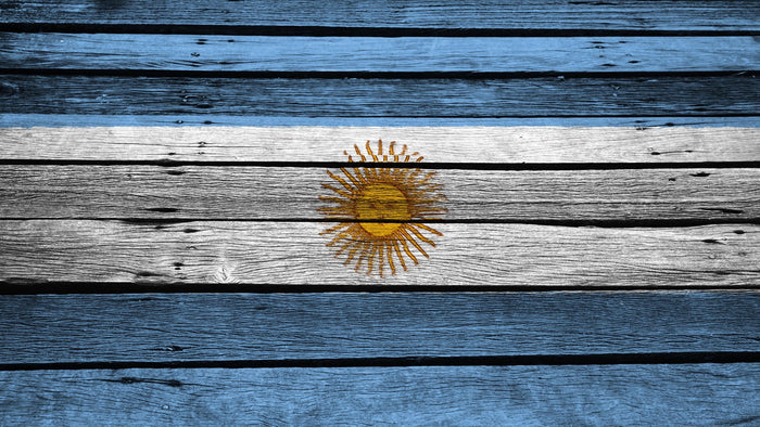 Argentina Flag On Wooden Garage Door Cover