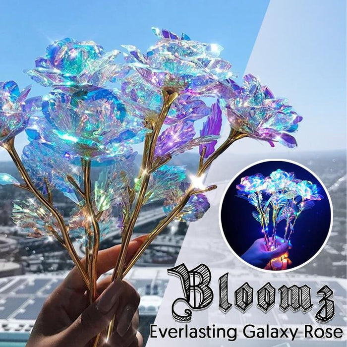 Bloomz Everlasting Galaxy Rose