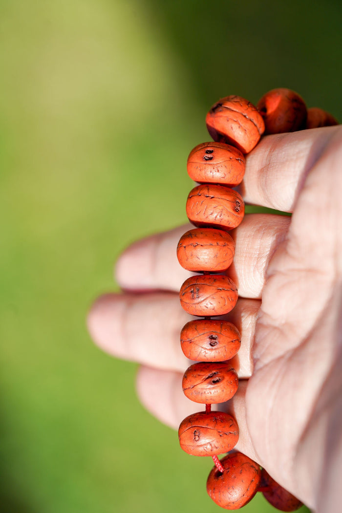 Bodhi Bracelet - Lucky Thanka