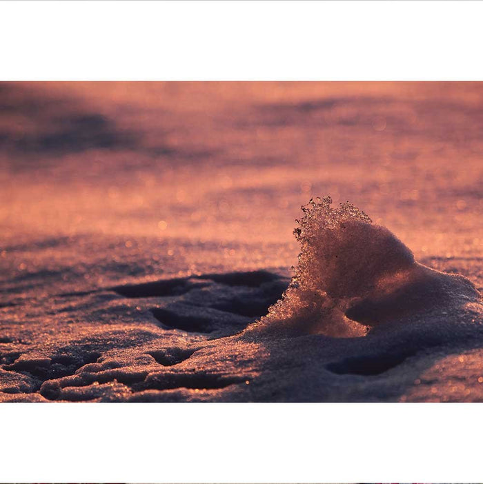 Ice Wave Gloss Poster Printed | Wallhogs