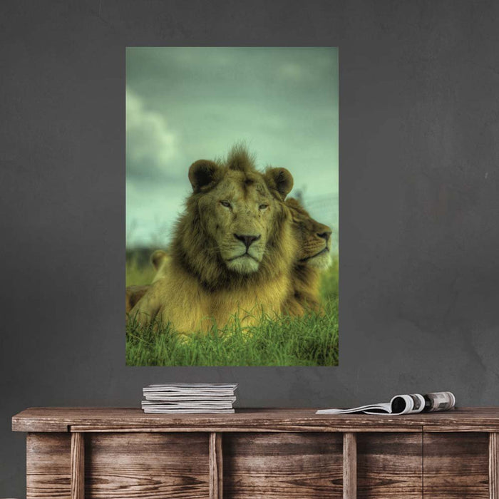 16x24 inch King of the Jungle Decal Installed Above Table