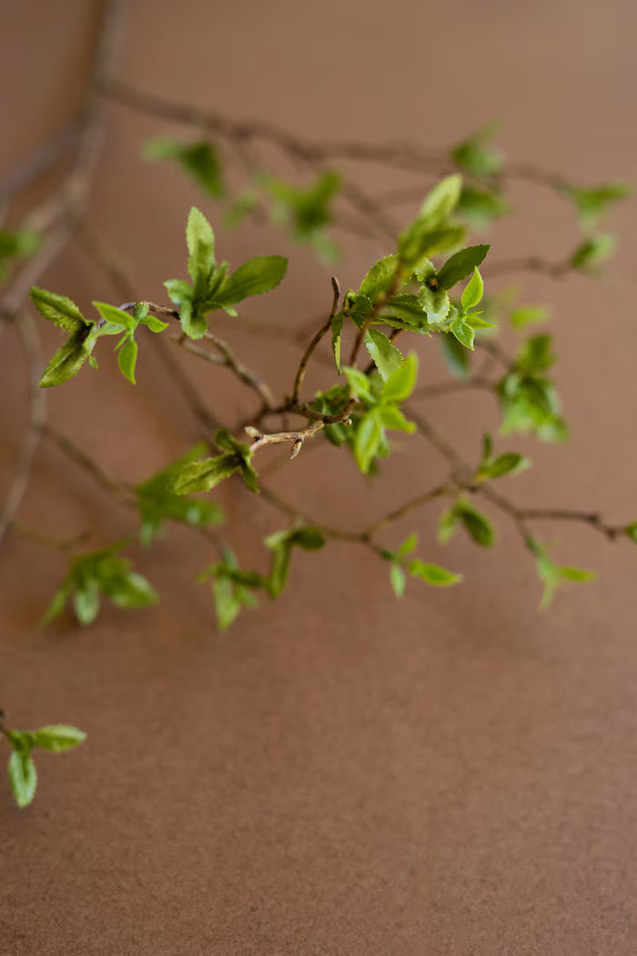 Budding Leaf Spray