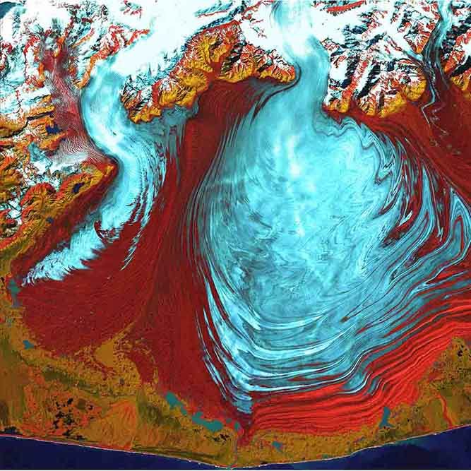Malaspina Satellite Wall Decal Printed | Wallhogs