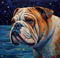 Bulldog Portrait