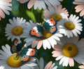 Butterflies In Daisies Paint By Numbers Kit