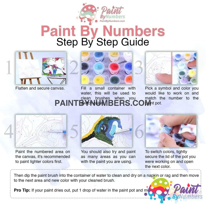 Cardinals In Love Paint By Numbers Kit