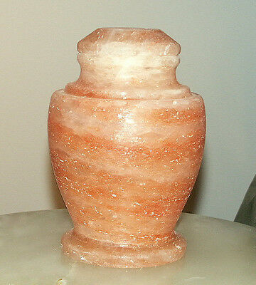 Carpel Rock Salt Biodegradable  Funeral Cremation Pet Urn 65 Cubic Inches