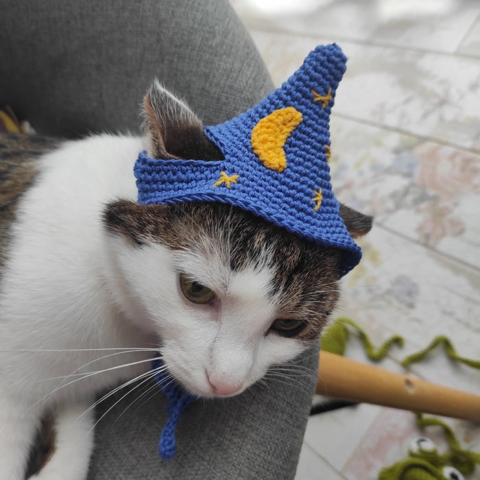A white cat wearing a blue wizard hat with a yellow moon and stars pattern.