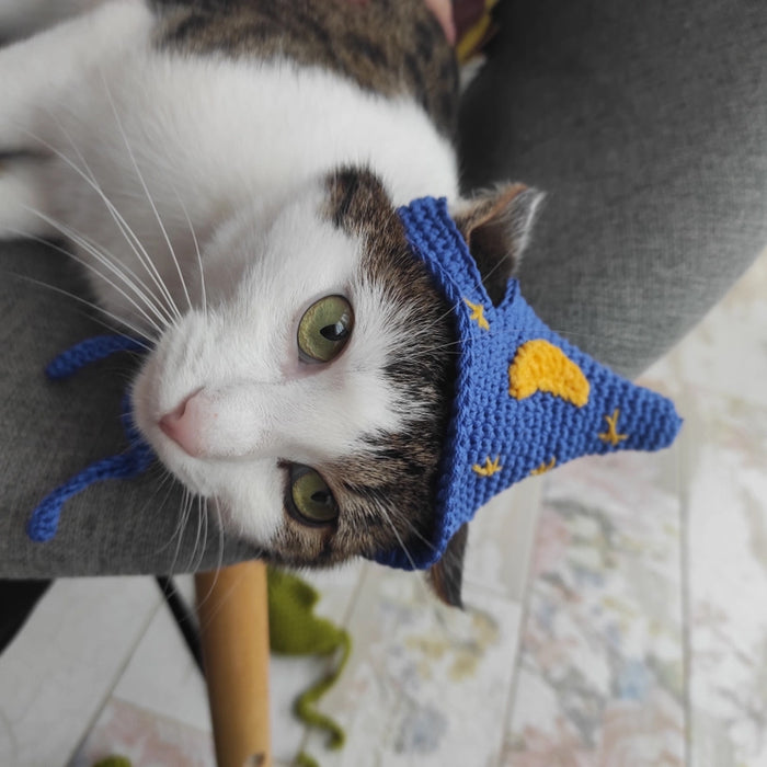 A white cat wearing a blue wizard hat with a yellow moon and stars pattern.