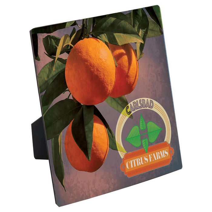ChromaLuxe Flat Top Photo Panel with Easel - SS16