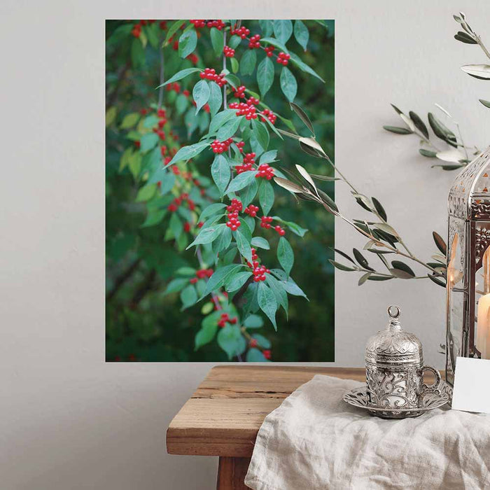 16x24 inch Berries Decal Installed Above Table