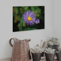 16x24 inch Purple Daisey Decal Installed Above Plants