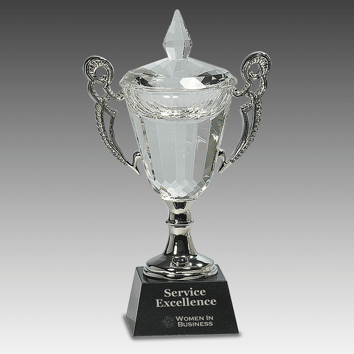 9.5" Crystal Cup with Silver Handles and Stem