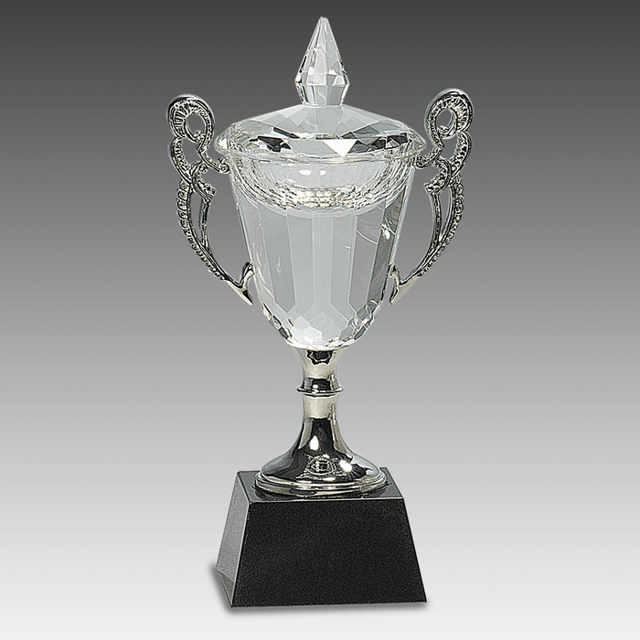 8" Crystal Cup with Silver Handles and Stem