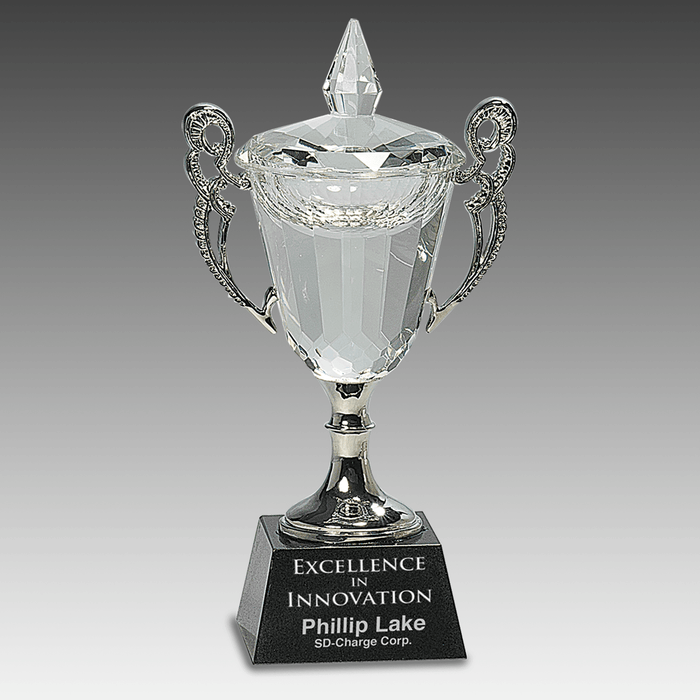 8" Crystal Cup with Silver Handles and Stem