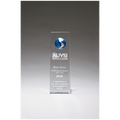 2.75" x 8" x 1.5" Crystal Trophy with Blue Globe