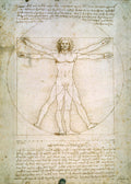 Da Vinci "Vitruvian Man" (1490) Wall Decal (5 Sizes Available)