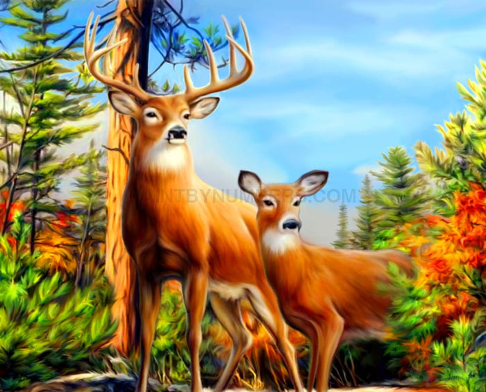Deer In Spring Paint By Numbers Kit