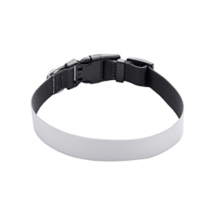 1" x 18" Dog Collar