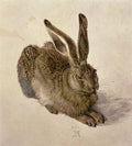 Durer "Hare" (1502) Wall Decal (3 Sizes Available)