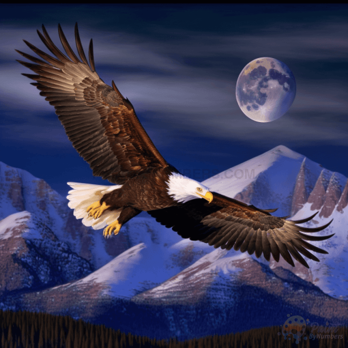 Eagle Sky Paint By Numbers Kit