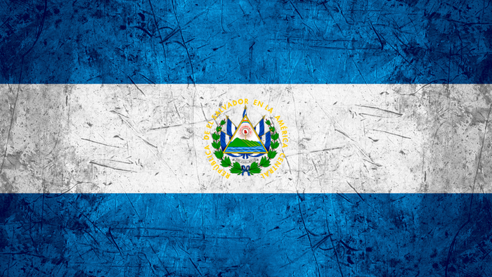 El Salvador Flag Garage Door Cover