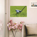 16x24 inch Fairway Drivin' Decal Installed Near Window