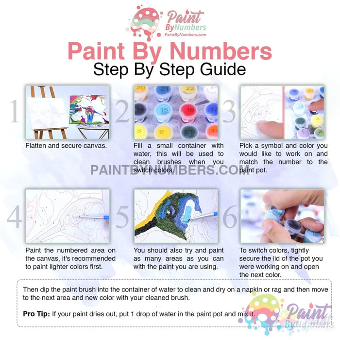 America The Beautiful Bald Eagle Paint By Numbers Kit For Adults