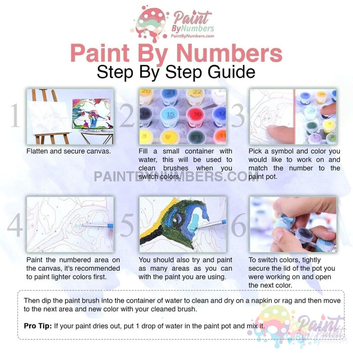 Animal Kingdom Paint By Numbers Kit