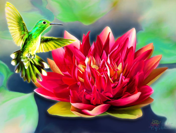 Green Hummingbird Paint By Numbers Kit