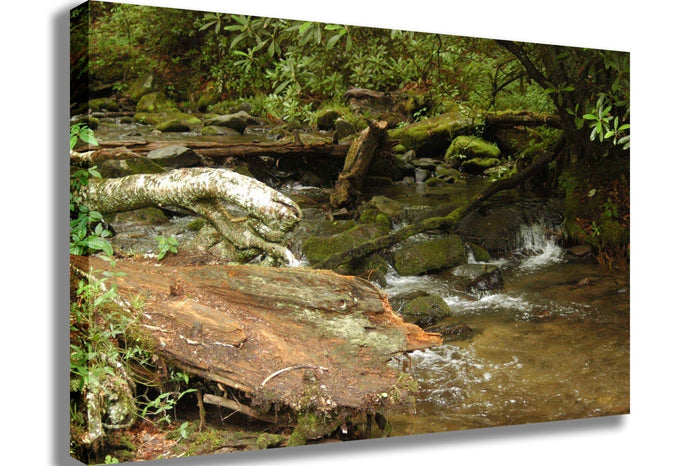 Guernsey Stream Canvas Printed