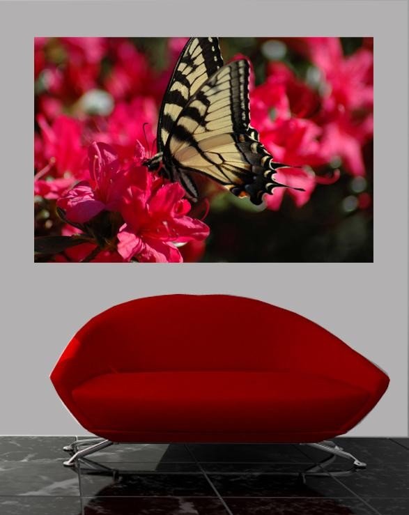 Guernsey Butterfly on Flower Wall Decal (5 Sizes Available)