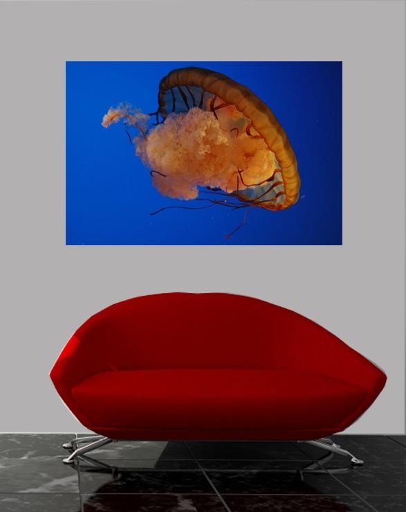 Guernsey Jellyfish I Wall Decal (5 Sizes Available)