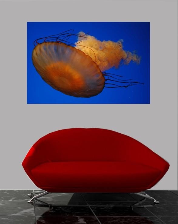 Guernsey Jellyfish III Glossy Poster (5 Sizes Available)