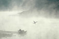 Guernsey Soaring Crane in Mist Wall Decal (5 Sizes Available)
