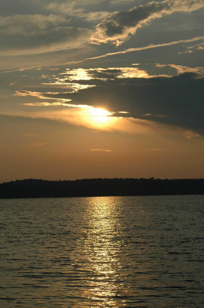 Guernsey Sunset Wall Decal (5 Sizes Available)