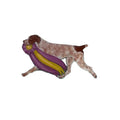 Hand-Painted German Shorthaired Pointer Pin