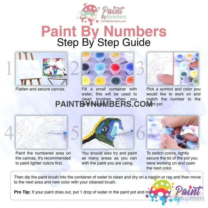 Animal Kingdom Paint By Numbers Kit