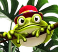 Happy Frog Paint By Numbers Kit
