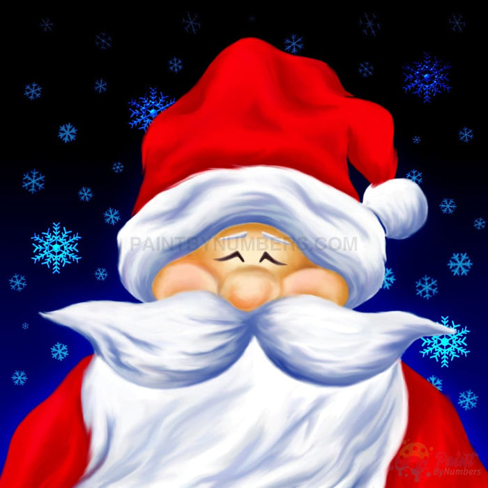 Happy Santa Paint By Numbers Kit