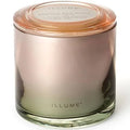 Illume Candles-Coconut Milk 20 oz Statement Glass Candle-20 oz