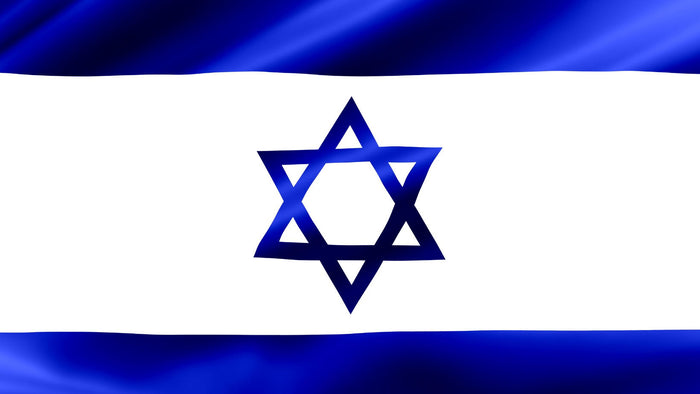 Israel Flag Garage Door Cover